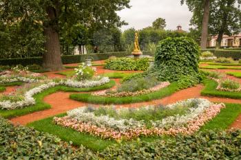 Flower gardens and golden statue at Peterhof Palace in St Petersburg Russia
