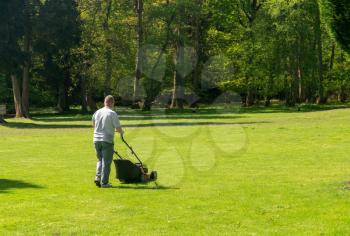 Gardener pushing a powered lawn mower across a large expanse of grass with trees in background