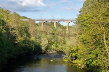Spring trees frame the old Pontcysyllte Aqueduct near Chirk carrying Llangollen Canal across river Dee
