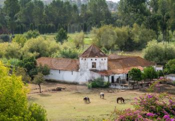 Red tiled roof on whitewashed Portuguese riding stables with horse nibbling the grass