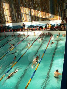 Swimming in the pool. Training in swimming.