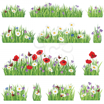 Nature floral collection. Grass background set. Summer flower border collection. Floral summer decor for greeting card
