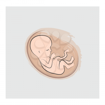 Fetus icon. Embryo sketch illustration