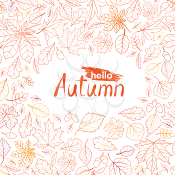 Fall leaf nature pattern with lettering hello Autumn. Autumn leaves background. Season floral icon wallpaper