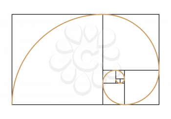 Fibonacci spiral symbol. Golden ratio graph isolated on white background. Vector illustration.