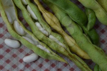 Beans. Phaseolus. Bean Seeds. Kitchen. Recipes. Tablecloth. Before cooking. Delicious. It is useful. Close-up. Horizontal photo