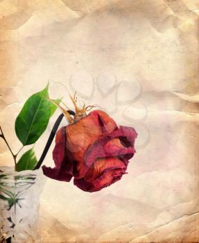 Vintage background with dried red rose in vase 