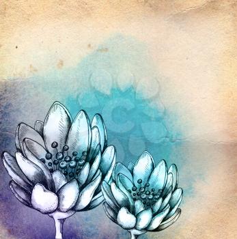 Decorative abstract  hand drawn watercolor floral  background with lotus