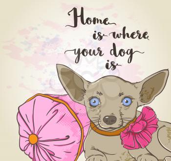 Vector background with small dog on a pink pillow and lettering.