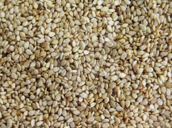 background of sesame seeds