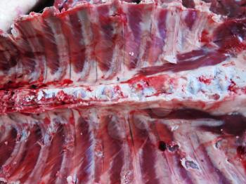 Close up Raw Alpaca Rib meat background