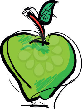 Hand drawn Green apple fruit vector illustration