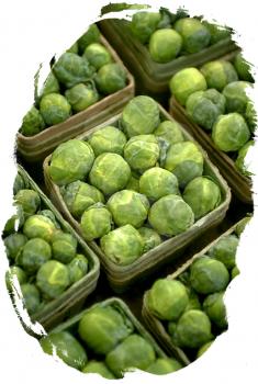 Royalty Free Photo of Boxes of Brussels Sprouts