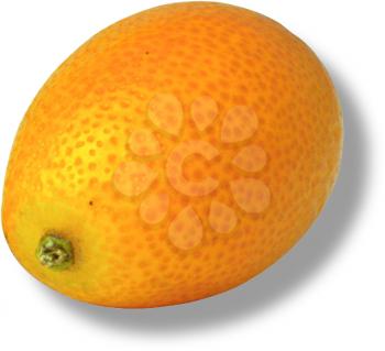 Royalty Free Photo of a Kumquat