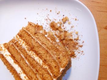 A top view of traditional honey cake slice with crumbs on the white plate.