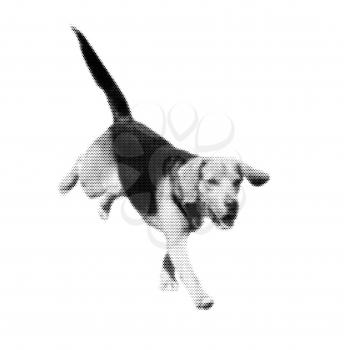 Running dog isolated on white as black and white halftone abstract illustration.