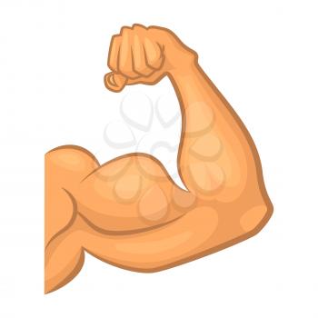 Strong biceps. Gym vector symbol isolate. Cartoon illustration. Human bicep male, powerful young muscle arm