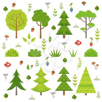 Different forest plants, trees mushrooms and other floral elements. Cartoon vector illustration isolate on white. Green tree forest, nature tree and mushroom design