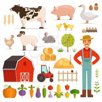 Different farm elements. Vegetables, transport and domestic animals. Vector illustrations set. Farm vegetable and animals chicken and cow