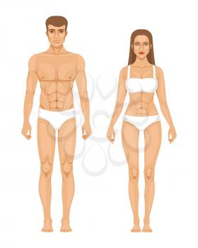 Model of sporty man and woman standing front view. Different body parts. Vector illustration. Female and male body front