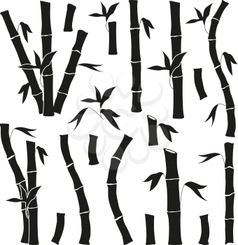 Monochrome pictures set of bamboo. Jungle plants isolate on white. Vector bamboo plant tree illustration