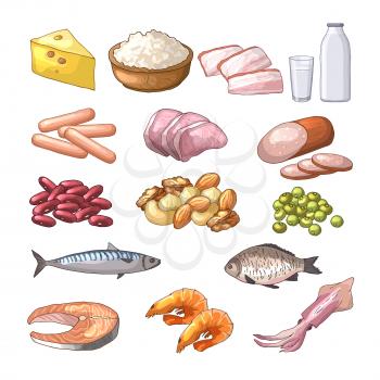Illustrations of different products which contains protein. Vector pictures in cartoon style. Healthy product milk and meat vector