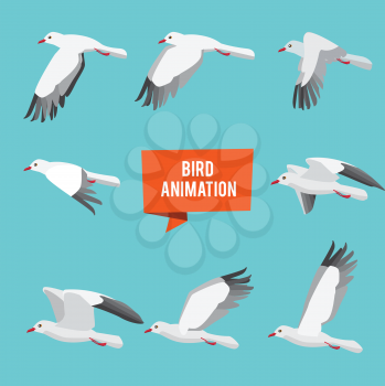 Key frames of animation flying bird. Animation bird fly, animal wildlife fly loop beak, vector illustration