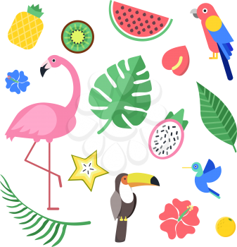 Flowers and tropical exotic fruits and birds. Vector illustrations isolate. Summer tropical flower hawaii, bird flamingo and pineapple