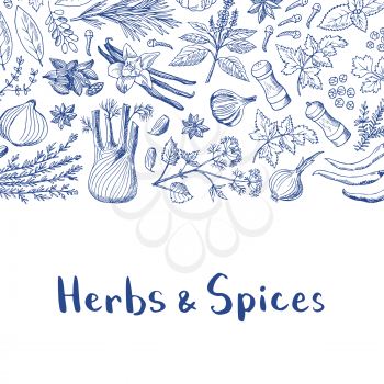 Vector banner and poster hand drawn herbs and spices background with place for text illustration