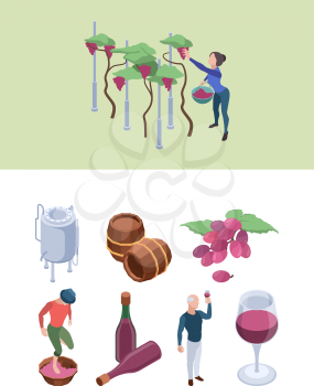 Wine production. Vineyard people working winery processes technology grapes drink bottling big barrels vector isometric set. Alcohol drink in glass, vineyard winery, wine production illustration