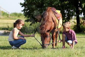 little girl and boy play with pony horse 