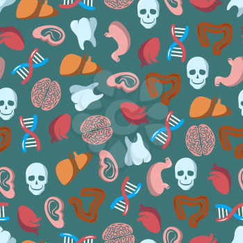 Internal human organs seamless pattern. Anatomy biology medicine, vector illustration