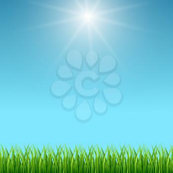 Clean blue sky and green grass vector background. Spring design landscape illustration