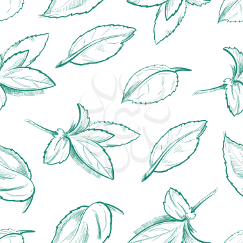 Eco peppermint tea, fresh mint leaves, menthol seamless vector background with outline organic mint leaf