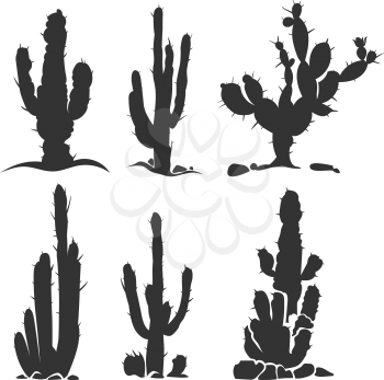 Desert cactus vector silhouette plants isolated on white. Monochrome plant illustration