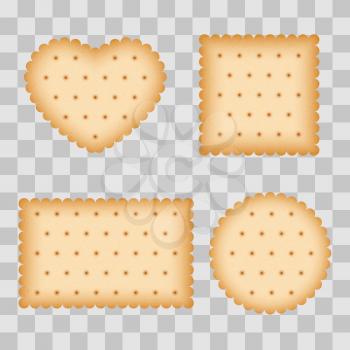 Cartoon biscuit, eating pastry, breakfast cookies isolated on transparent background. Vector illustration