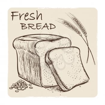 Grunge sketch of fresh bread, grains and wheat ear. Vector illustration