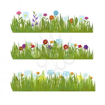 Summer grass with wild beautiful flowers vector borders. Color flower and green field, meadow beauty blossom illustration