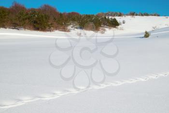 Winter, deep snow and  footprints.