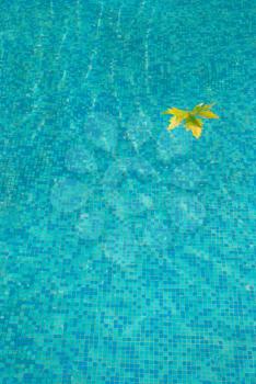 Blue water surface with yellow leaf.