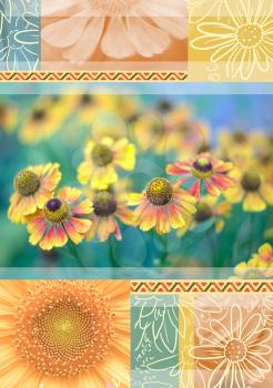 Beautiful Helenium flowers growing in the summer garden. Helenium autumnale Collage for writing pad, greeting card,