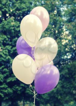 Purple and white balloons on the background of trees in the park.Photo festive decor.