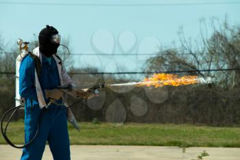 Flamethrower in action. a Flamethrower operational test.