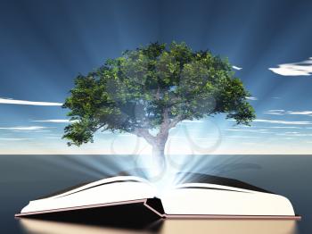 Book with green tree and shining light