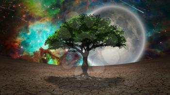 Surrealism. Green tree of life in arid land. Full moon in vivid starry sky