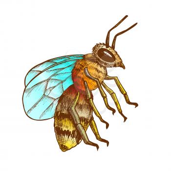 Striped Bee Flying Insect Animal Side View Vector. Bee Swarm Is Large Group Of Pollinators In Ecosystem And Important In Agriculture Sphere. Color Illustration