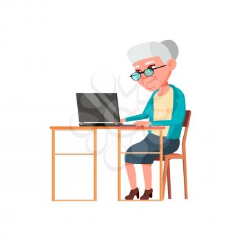 mature age woman buy online goods on laptop cartoon vector. mature age woman buy online goods on laptop character. isolated flat cartoon illustration