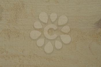 Texture of light wood closeup from sawmill