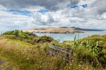 Coastal Walk near Arai-Te-Uru Recreation Reserve in Omapere in New Zealand