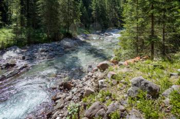 View of the river or torrent in the Natural Park of Paneveggio Pale di San Martino in Tonadico, Trentino, Italy